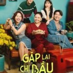 Gặp Lại Chị Bầu