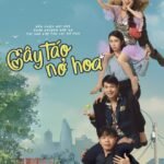 Cây Táo Nở Hoa