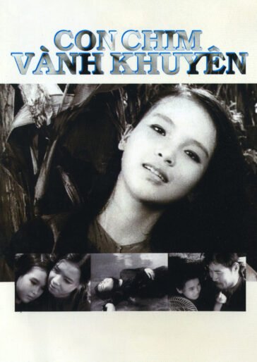 Con Chim Vành Khuyên