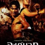 Truy Tìm Tượng Phật